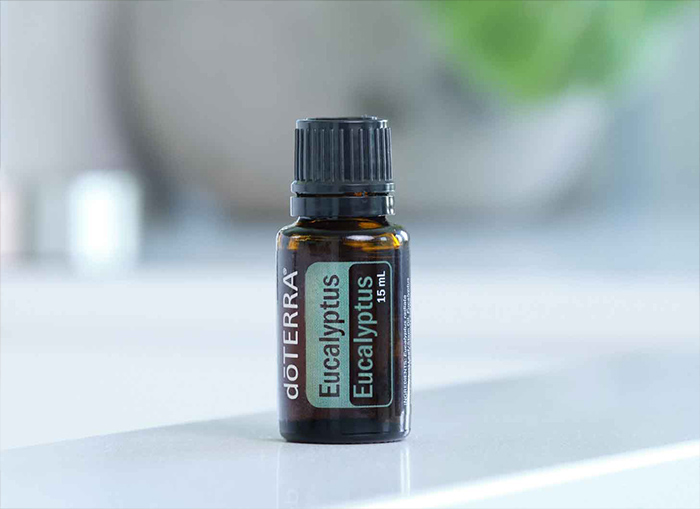 Eucalyptus Oil | doTERRA Essential Oils